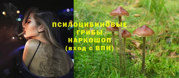 ECSTASY Алексеевка