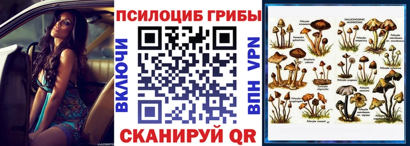 закладка  Алзамай  Галлюциногенные грибы мицелий 